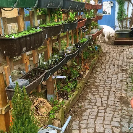 Glamping Farm Reni Gemeinschaftsbad Free Wifi Naturgarten